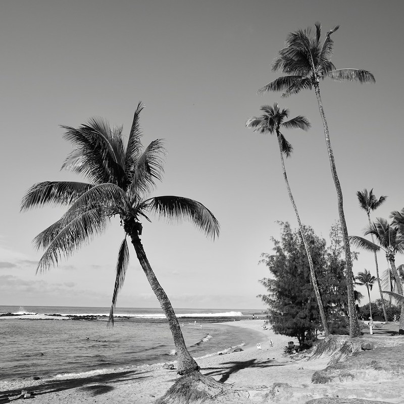 Poipu State Beach Park in Kaua'i 2026